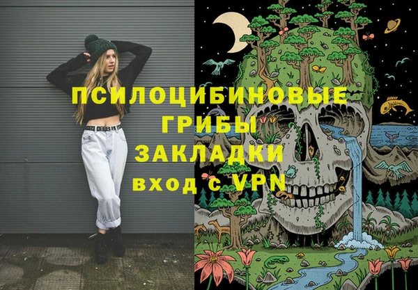 бошки Армянск