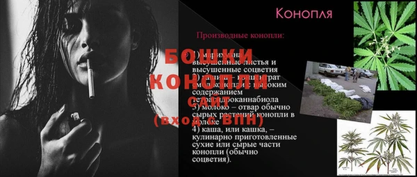 apvp Арсеньев