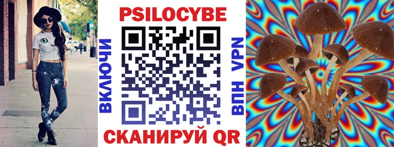 kraken ТОР купить наркотик Нововоронеж Псилоцибиновые грибы прущие грибы